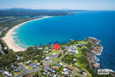 House Sold - NSW - Tathra - 2550 - Outstanding Future Potential  (Image 2)