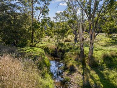 Mixed Farming For Sale - NSW - Grenfell - 2810 - Affordable Multi-Income Package  (Image 2)