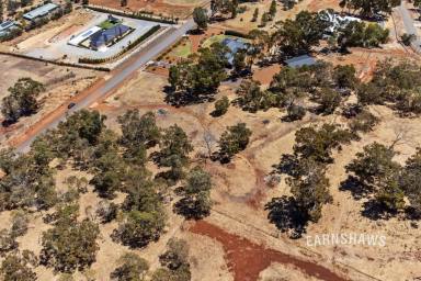 Residential Block For Sale - WA - Jane Brook - 6056 - Here's To Your Future Masterpiece  (Image 2)