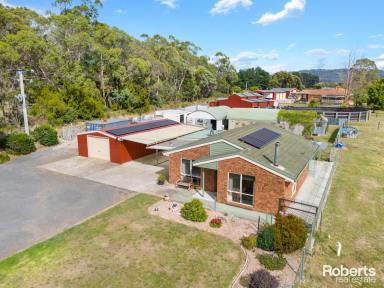 House Sold - TAS - Tarleton - 7310 - Prime Position & Unlimited Potential  (Image 2)