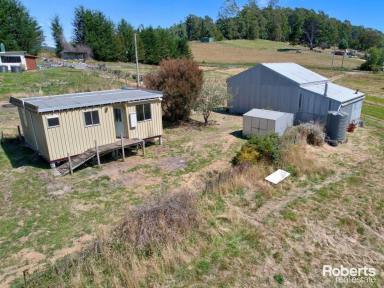 Residential Block Sold - TAS - Lower Wilmot - 7310 - Shed + One Bedroom Home To Renovate on 26 Acres Approx  (Image 2)