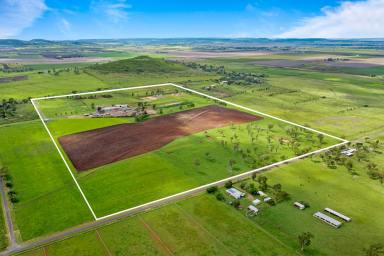 Mixed Farming For Sale - QLD - Westbrook - 4350 - Location, Income and Water!  (Image 2)