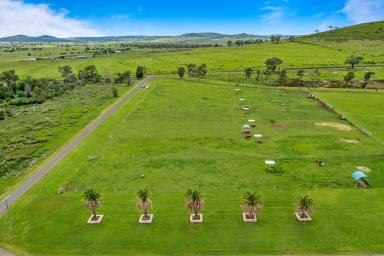 Mixed Farming For Sale - QLD - Westbrook - 4350 - Location, Income and Water!  (Image 2)