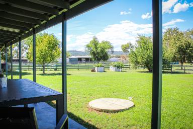 Acreage/Semi-rural Auction - NSW - Tamworth - 2340 - An exceptional lifestyle opportunity awaits.  (Image 2)