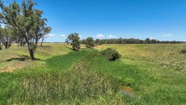 Mixed Farming For Sale - NSW - Tamworth - 2340 - Retirement Dictates  (Image 2)