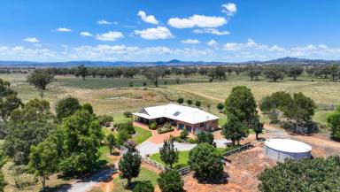 Mixed Farming For Sale - NSW - Tamworth - 2340 - Retirement Dictates  (Image 2)