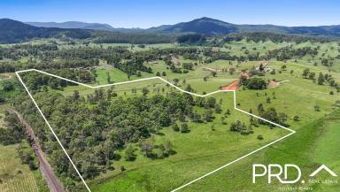 Residential Block For Sale - NSW - Kyogle - 2474 - 50+ Acre Block on Edge of Town  (Image 2)