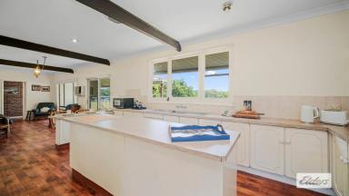 Lifestyle For Sale - NSW - Moorland - 2443 - MAGICAL MOORLAND  (Image 2)