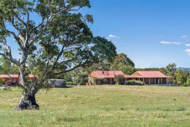 Lifestyle For Sale - VIC - Metcalfe - 3448 - "Pennbroke"  (Image 2)