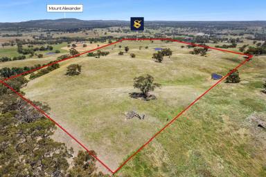 Lifestyle For Sale - VIC - Metcalfe - 3448 - "Pennbroke"  (Image 2)