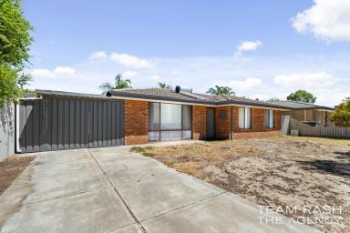 House Sold - WA - Beechboro - 6063 - Parkside renovated home with massive shed!  (Image 2)