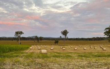 Livestock For Sale - QLD - Biggenden - 4621 - "ROSEMOUNT" Quality 372 Acre Grazing Property with Cultivation  (Image 2)