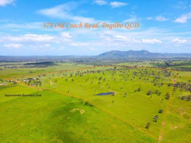 Livestock Sold - QLD - Biggenden - 4621 - "ROSEMOUNT" Quality 372 Acre Grazing Property with Cultivation  (Image 2)