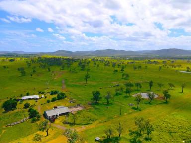 Livestock For Sale - QLD - Biggenden - 4621 - "ROSEMOUNT" Quality 372 Acre Grazing Property with Cultivation  (Image 2)