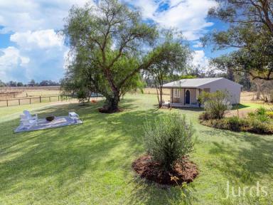 Lifestyle For Sale - NSW - Broke - 2330 - HUNTER VALLEY WINE COUNTRY DELIGHT  (Image 2)