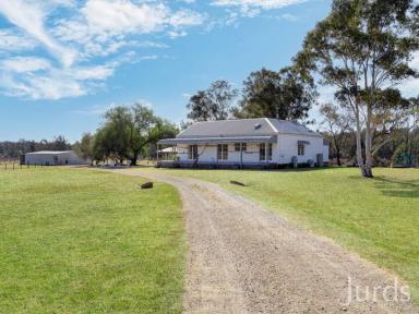 Lifestyle For Sale - NSW - Broke - 2330 - HUNTER VALLEY WINE COUNTRY DELIGHT  (Image 2)