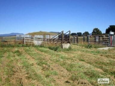 Other (Rural) Sold - TAS - Preston - 7315 - QUALITY FATTENING/GRAZING BLOCK - 2824 HA (69.7 acres) - 4 TITLES  (Image 2)