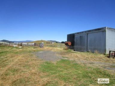 Other (Rural) Sold - TAS - Preston - 7315 - QUALITY FATTENING/GRAZING BLOCK - 2824 HA (69.7 acres) - 4 TITLES  (Image 2)