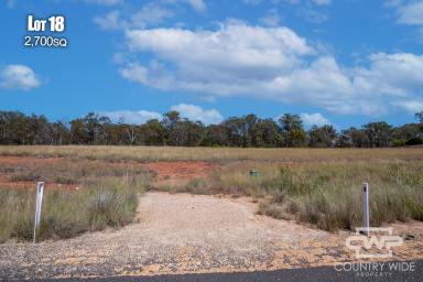 Residential Block For Sale - NSW - Emmaville - 2371 - Level 2704 m2 Block, Ready To Be Built On  (Image 2)