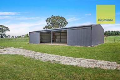 Lifestyle For Sale - NSW - Crookwell - 2583 - This is the one!  (Image 2)