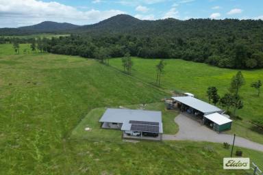 House For Sale - QLD - Mena Creek - 4871 - 53 Acres of prime cattle country with 2 water licences.  (Image 2)