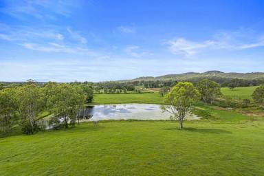 Lifestyle For Sale - QLD - Curra - 4570 - HARVEY SIDING GRAZING  (Image 2)