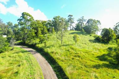 Lifestyle For Sale - NSW - Mount Burrell - 2484 - NATURAL BEAUTY ON THE TWEED  (Image 2)