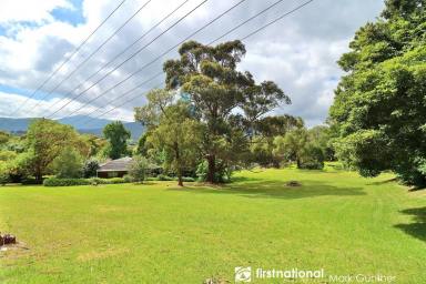 House Sold - VIC - Healesville - 3777 - Incredible Opportunity!  (Image 2)
