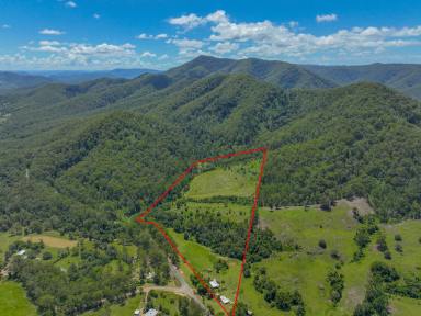 Acreage/Semi-rural For Sale - NSW - Knorrit Flat - 2424 - "YUANME" – Your Dream Awaits!  (Image 2)