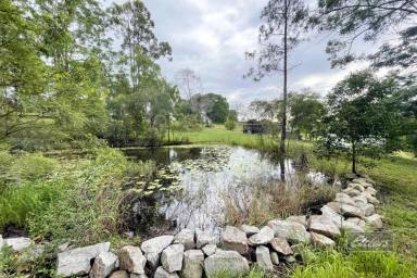 Residential Block For Sale - QLD - Glenwood - 4570 - THEY DON'T GET MORE TRANQUIL THAN THIS!  (Image 2)