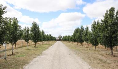 Acreage/Semi-rural For Sale - SA - Naracoorte - 5271 - When Size Matters,  Amazing Lifestyle Opportunity - 57 Acres  (Image 2)