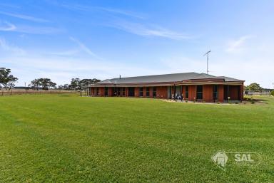 Acreage/Semi-rural For Sale - SA - Naracoorte - 5271 - Amazing Lifestyle Opportunity - 57 Acres  (Image 2)