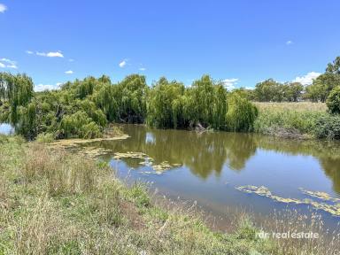 Mixed Farming For Sale - NSW - Inverell - 2360 - HOLMWOOD - IRRIGATION & CROPPING  (Image 2)