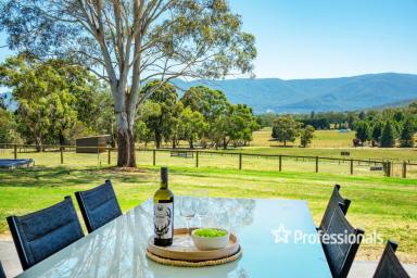 House For Sale - VIC - Yarra Junction - 3797 - DISCOVER SERENITY AND SOPHISTICATION 40 ACRES APPROX  (Image 2)