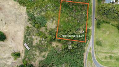 Residential Block For Sale - TAS - Waratah - 7321 - Build the Aussie dream  (Image 2)