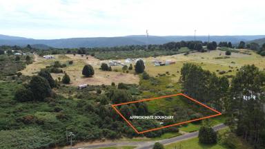 Residential Block For Sale - TAS - Waratah - 7321 - Build the Aussie dream  (Image 2)