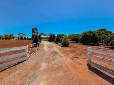 Acreage/Semi-rural For Sale - VIC - Woorinen - 3589 - Worth waiting for.  (Image 2)
