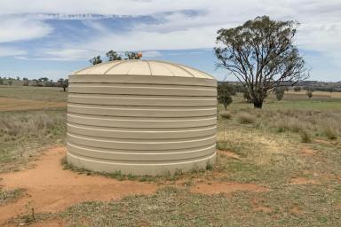 Mixed Farming For Sale - NSW - Yeoval - 2868 - Blank Canvas  (Image 2)