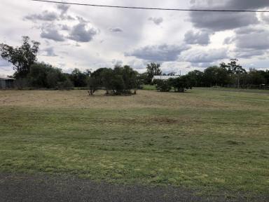 Residential Block For Sale - NSW - Collie - 2827 - RARE OPPORTUNITY FOR VACANT LAND - TWO LOTS SIDE BY SIDE  (Image 2)