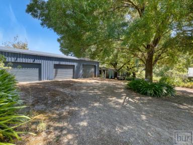 Lifestyle For Sale - VIC - Kergunyah - 3691 - 507 Hellhole Creek Road Kergunyah
"Lifestyle like no other, in the heart of the famous Kiewa Valley"  (Image 2)