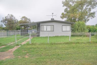 House For Sale - NSW - Bourke - 2840 - Cozy 3 Bedroom House: Modern Upgrades, Generous Living Spaces  (Image 2)