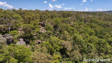 Other (Rural) For Sale - NSW - Barringella - 2540 - Beauty at Barringella  (Image 2)
