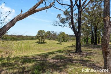 Lifestyle For Sale - NSW - Nerriga - 2622 - Ohh what a property on Oallen  (Image 2)