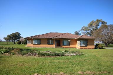 Lifestyle For Sale - VIC - Kyabram South - 3620 - SPACIOUS 4-BEDROOM RESIDENCE 5-ACRES WITH STABLES  (Image 2)