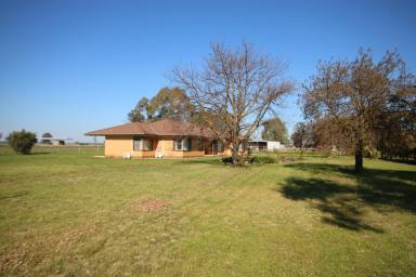 Lifestyle For Sale - VIC - Kyabram South - 3620 - SPACIOUS 4-BEDROOM RESIDENCE 5-ACRES WITH STABLES  (Image 2)