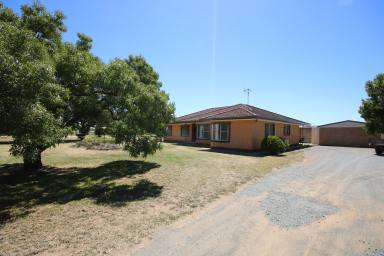 Lifestyle For Sale - VIC - Kyabram South - 3620 - SPACIOUS 4-BEDROOM RESIDENCE 5-ACRES WITH STABLES  (Image 2)
