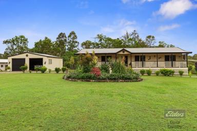 House For Sale - QLD - Glenwood - 4570 - DON'T HOLD OFF! YOU MAY REGRET IT!  (Image 2)