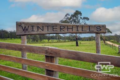 Lifestyle For Sale - NSW - Glen Innes - 2370 - 'WinterHills'  (Image 2)