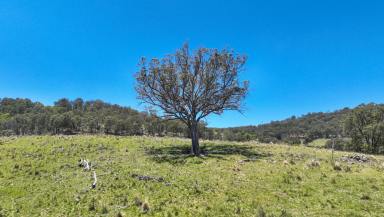 Other (Rural) For Sale - NSW - Ogunbil - 2340 - ESCAPE ORDINARY: ELEVATE YOUR LIFESTYLE  (Image 2)