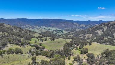 Other (Rural) For Sale - NSW - Ogunbil - 2340 - ESCAPE ORDINARY: ELEVATE YOUR LIFESTYLE  (Image 2)